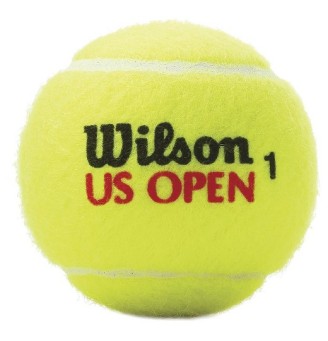 Palline Wilson US Open