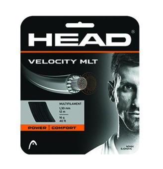 Corda Head Velocity MLT